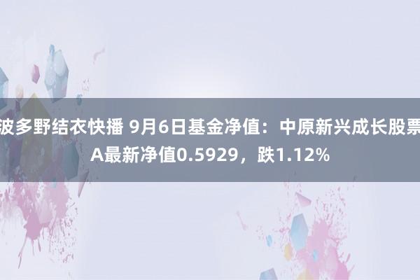 波多野结衣快播 9月6日基金净值：中原新兴成长股票A最新净值0.5929，跌1.12%