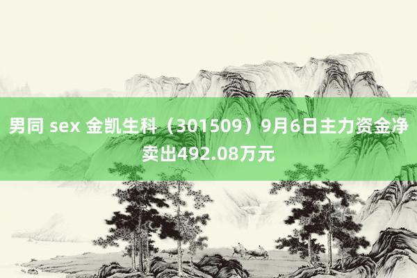 男同 sex 金凯生科（301509）9月6日主力资金净卖出492.08万元