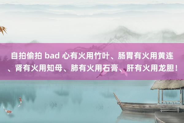 自拍偷拍 bad 心有火用竹叶、肠胃有火用黄连、肾有火用知母、肺有火用石膏、肝有火用龙胆！