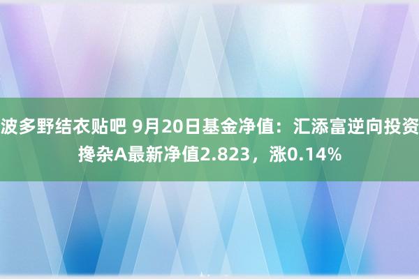 波多野结衣贴吧 9月20日基金净值：汇添富逆向投资搀杂A最新净值2.823，涨0.14%