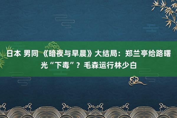 日本 男同 《暗夜与早晨》大结局：郑兰亭给路曙光“下毒”？毛森运行林少白