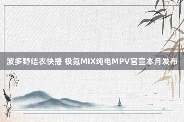 波多野结衣快播 极氪MIX纯电MPV官宣本月发布