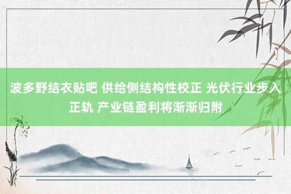 波多野结衣贴吧 供给侧结构性校正 光伏行业步入正轨 产业链盈利将渐渐归附