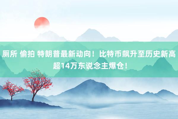 厕所 偷拍 特朗普最新动向！比特币飙升至历史新高 超14万东说念主爆仓！