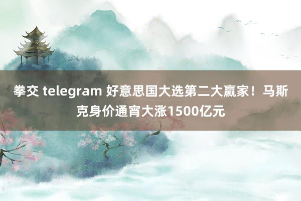 拳交 telegram 好意思国大选第二大赢家！马斯克身价通宵大涨1500亿元