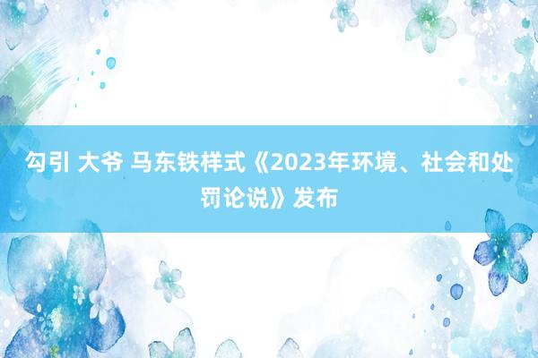 勾引 大爷 马东铁样式《2023年环境、社会和处罚论说》发布