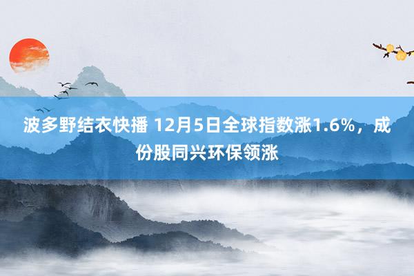 波多野结衣快播 12月5日全球指数涨1.6%，成份股同兴环保领涨